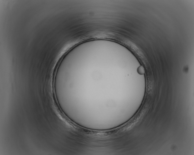 X0000097770986200803070857