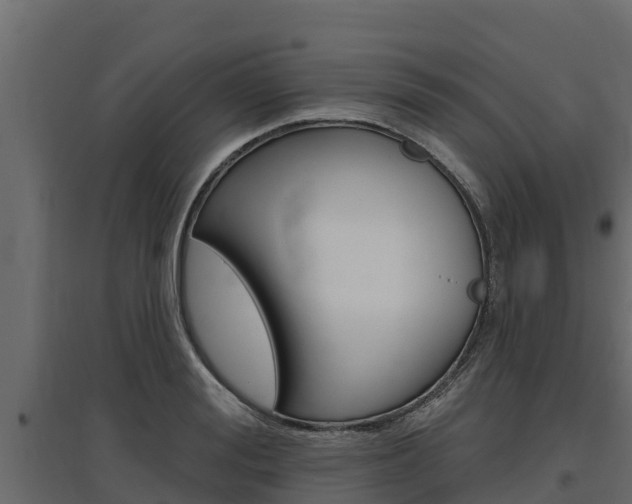 X0000097770988200803070856