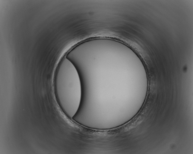 X0000097770990200803070856
