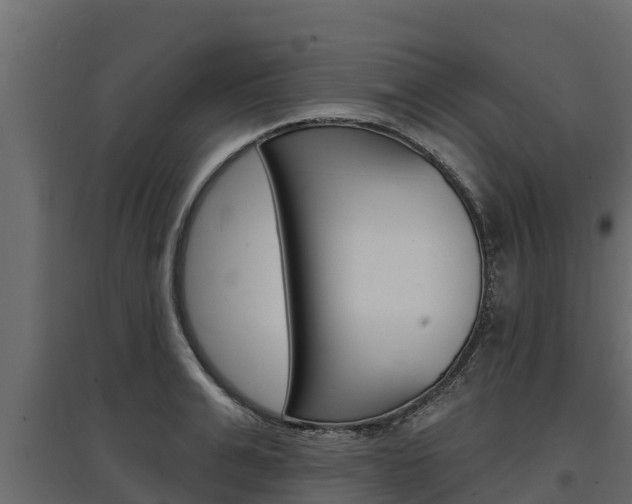X0000097770991200803070856