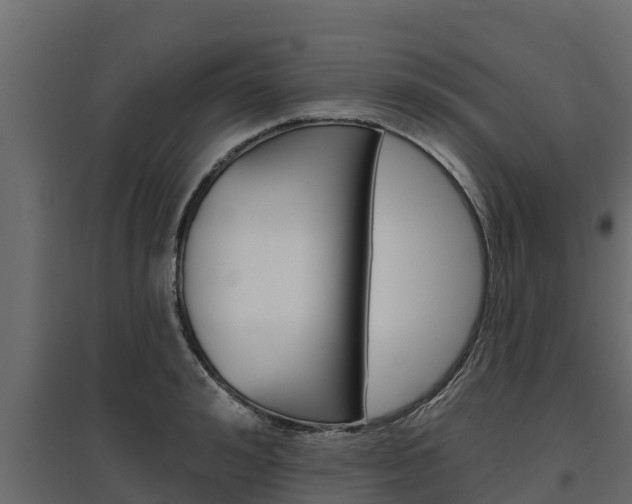 X0000097770992200803070856