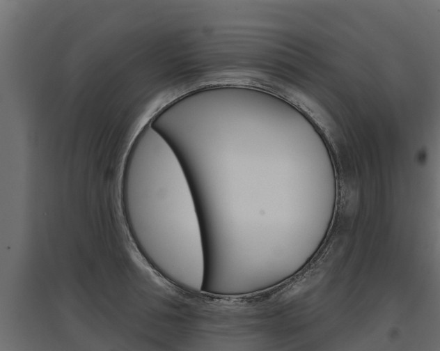 X0000097770994200803070856