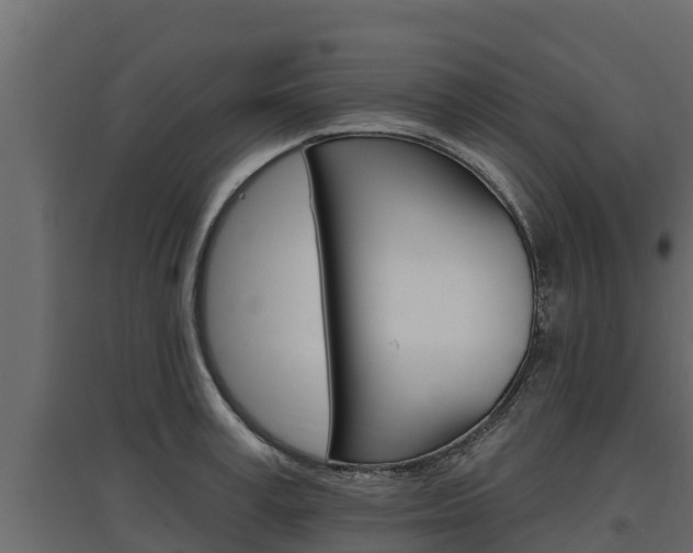 X0000097770995200803070856