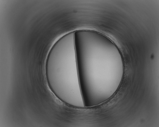 X0000097770996200803070856