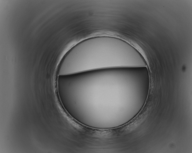 X0000097770997200803070856