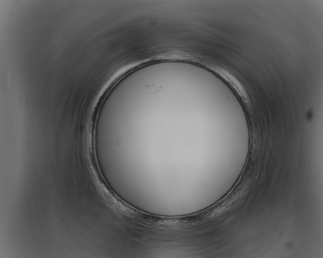 X0000097771000200803070856