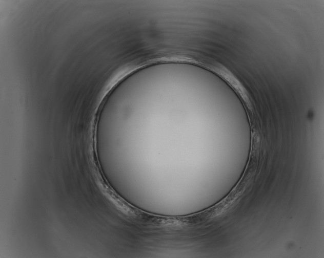 X0000097771002200803070856