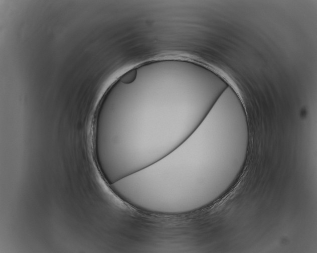 X0000097771003200803070856
