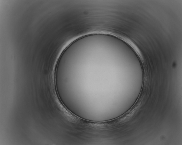X0000097771004200803070856