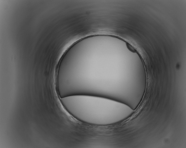 X0000097771006200803070856