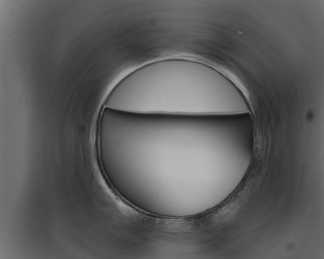 X0000097771007200803070856
