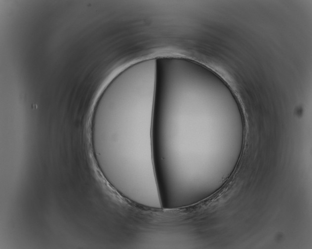 X0000097771008200803070856