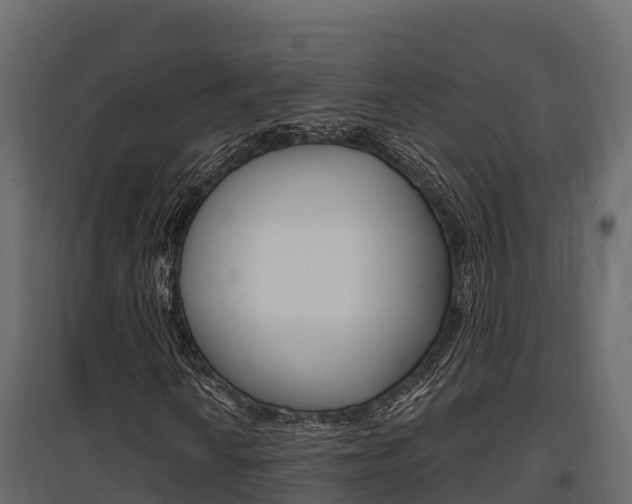 X0000097771010200803070855