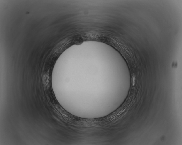 X0000097771011200803070855