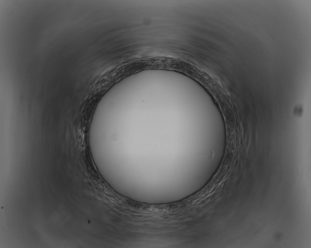 X0000097771013200803070855