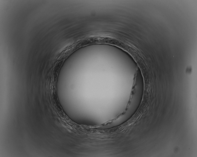 X0000097771014200803070855