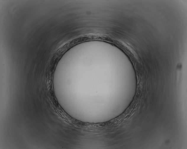 X0000097771015200803070855