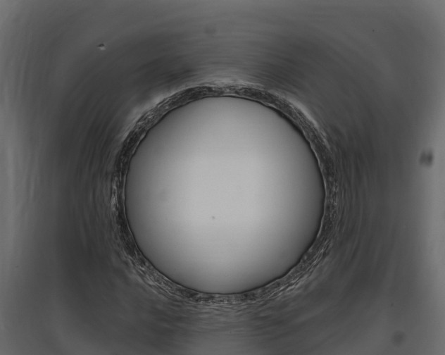 X0000097771016200803070855