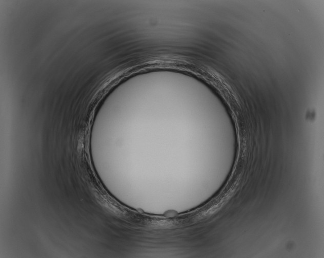 X0000097771017200803070855