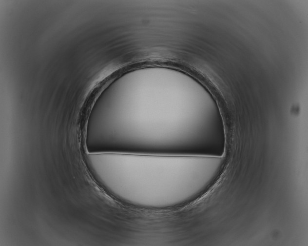 X0000097771018200803070855