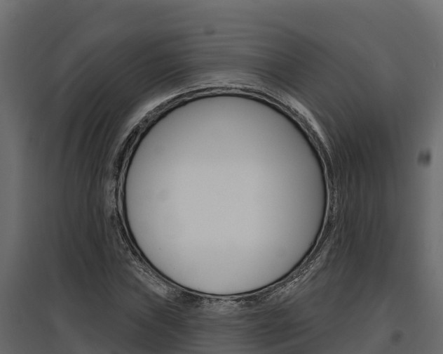 X0000097771019200803070855