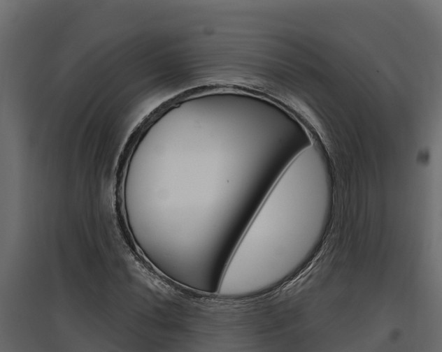 X0000097771020200803070856