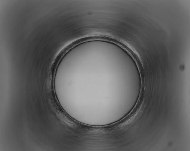 X0000097771021200803070856