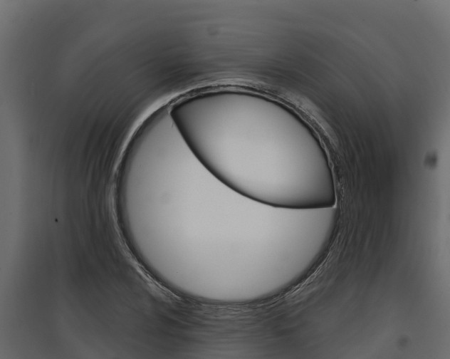 X0000097771024200803070856