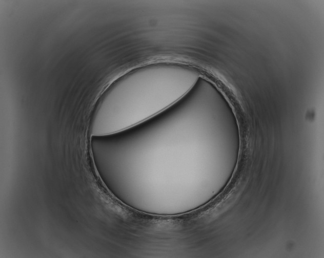 X0000097771025200803070856
