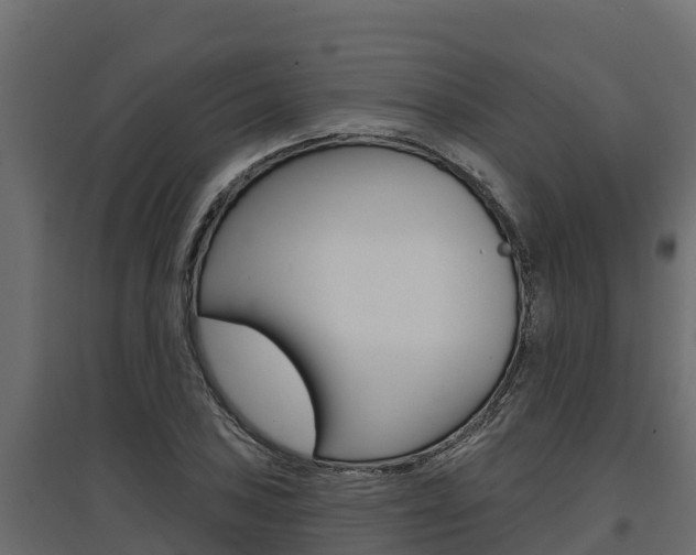 X0000097771027200803070856