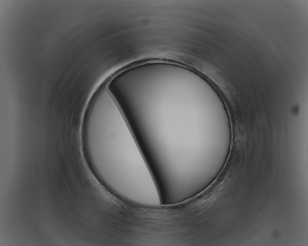 X0000097771028200803070856