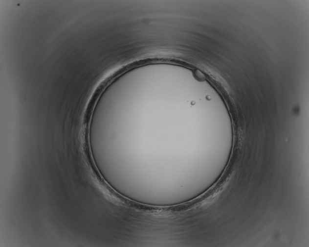 X0000097771029200803070856