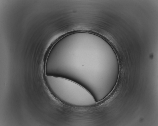 X0000097771030200803070856