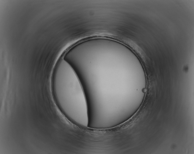 X0000097771032200803070856