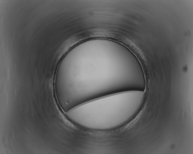 X0000097771033200803070856