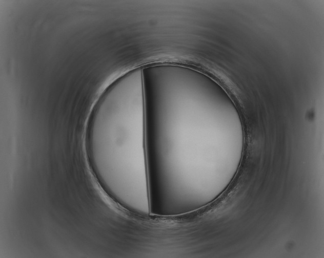 X0000097771034200803070856