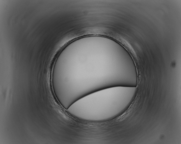 X0000097771035200803070856