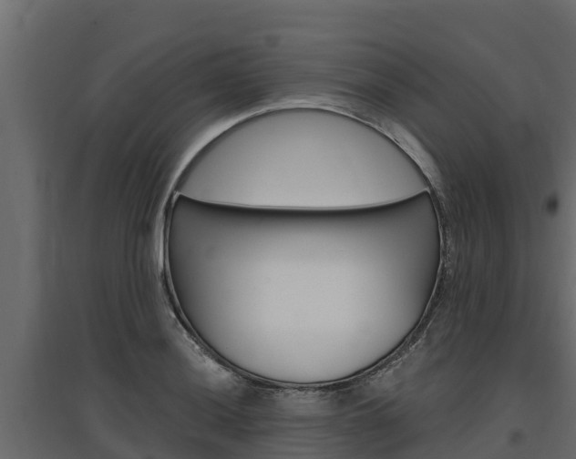 X0000097771036200803070856