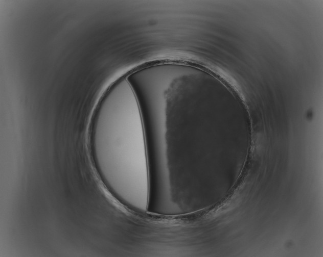 X0000097771037200803070856