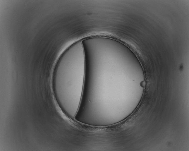 X0000097771038200803070856