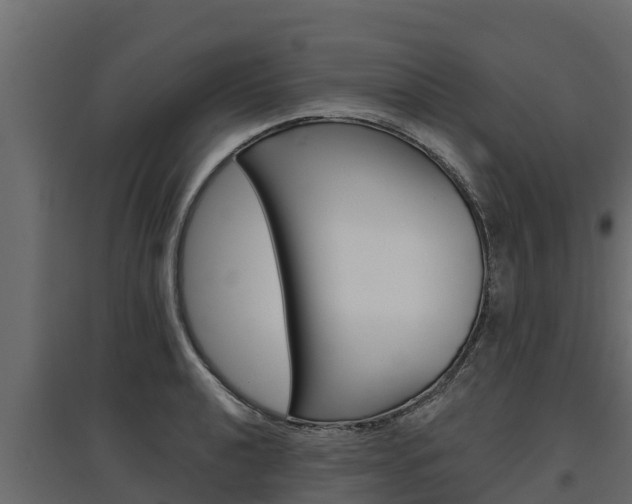 X0000097771040200803070856