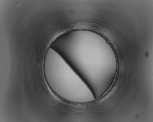 X0000097771041200803070856