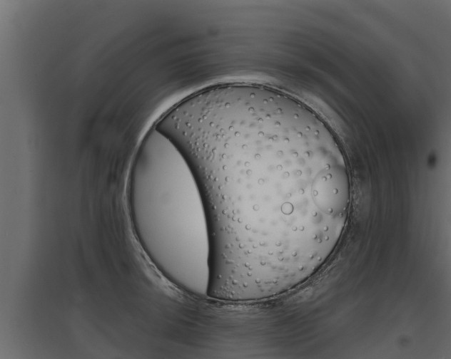 X0000097771044200803070856