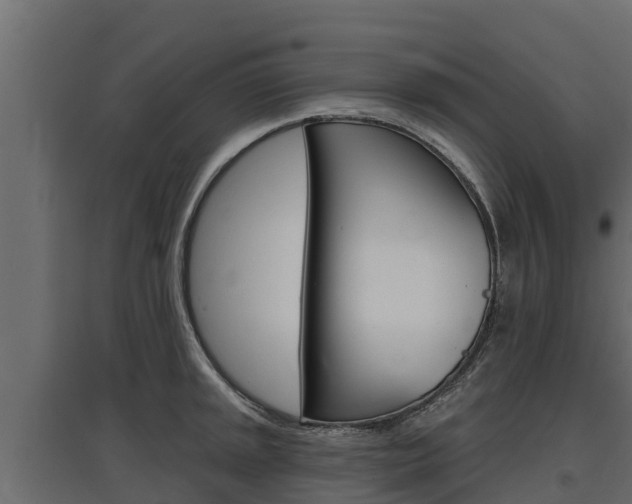 X0000097771045200803070856
