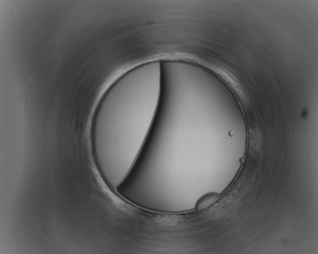 X0000097771046200803070856