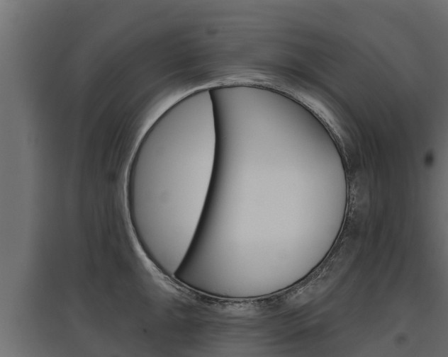 X0000097771047200803070856