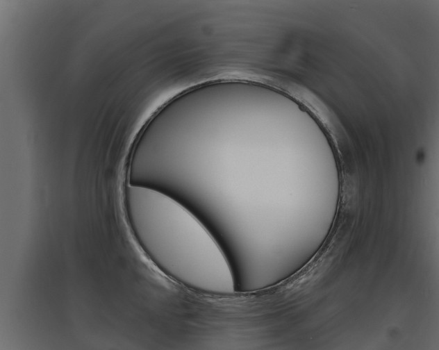 X0000097771048200803070856