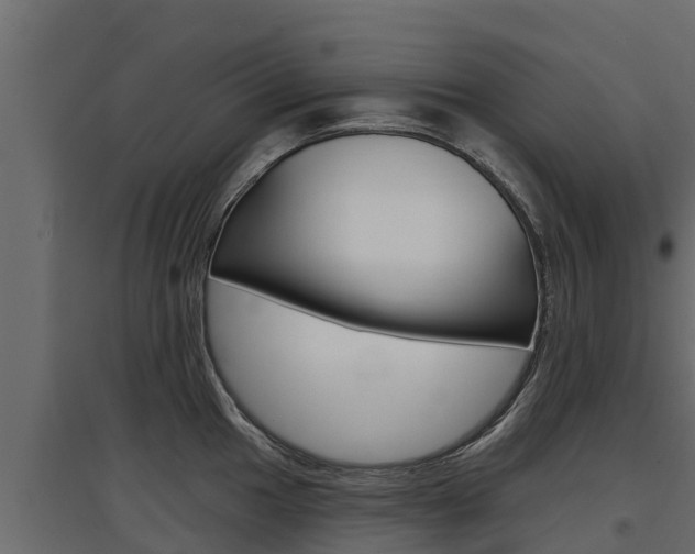 X0000097771049200803070856