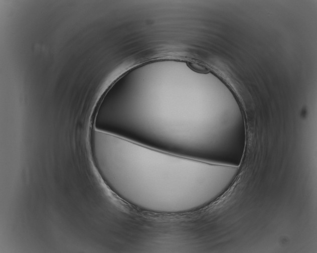 X0000097771050200803070856