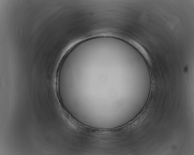 X0000097771051200803070856